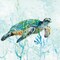 Sea Turtle Swim I Poster Print by Carol Robinson - Item # VARPDX17907